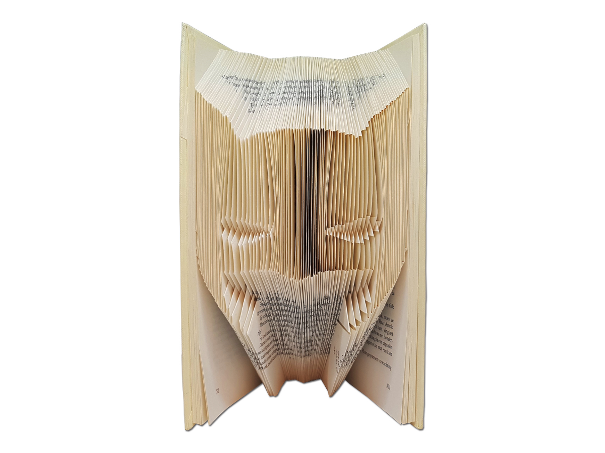 Action movie hero - Design 3 - Book folding pattern