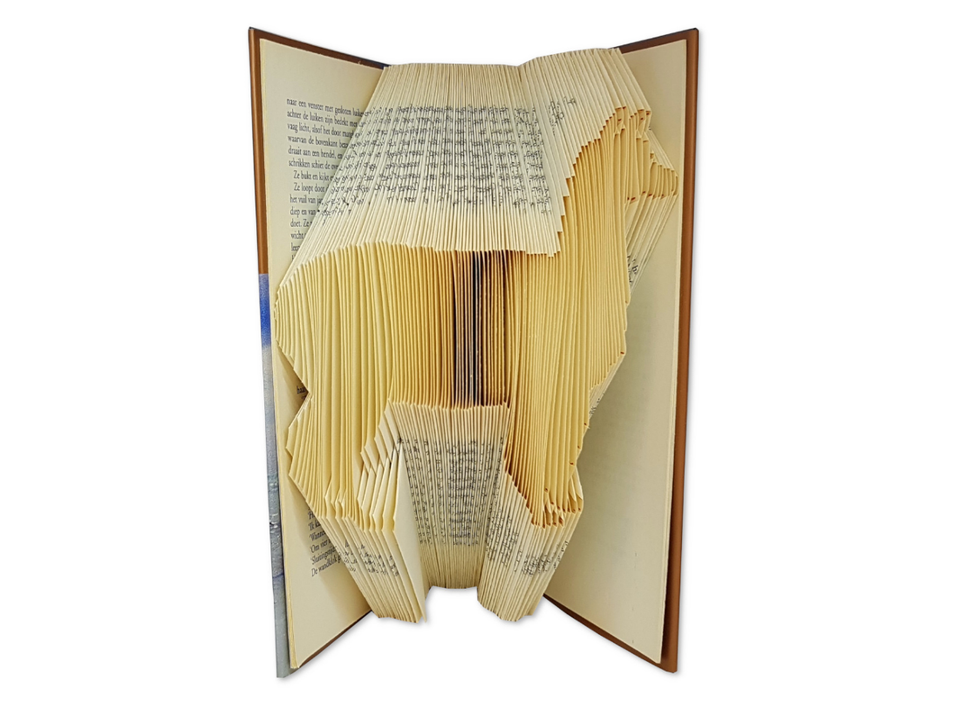 Alpaca - Book folding pattern