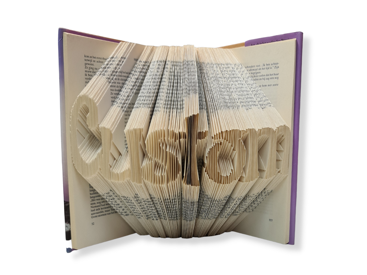 CUSTOM Mascot outlet Folded Book Art