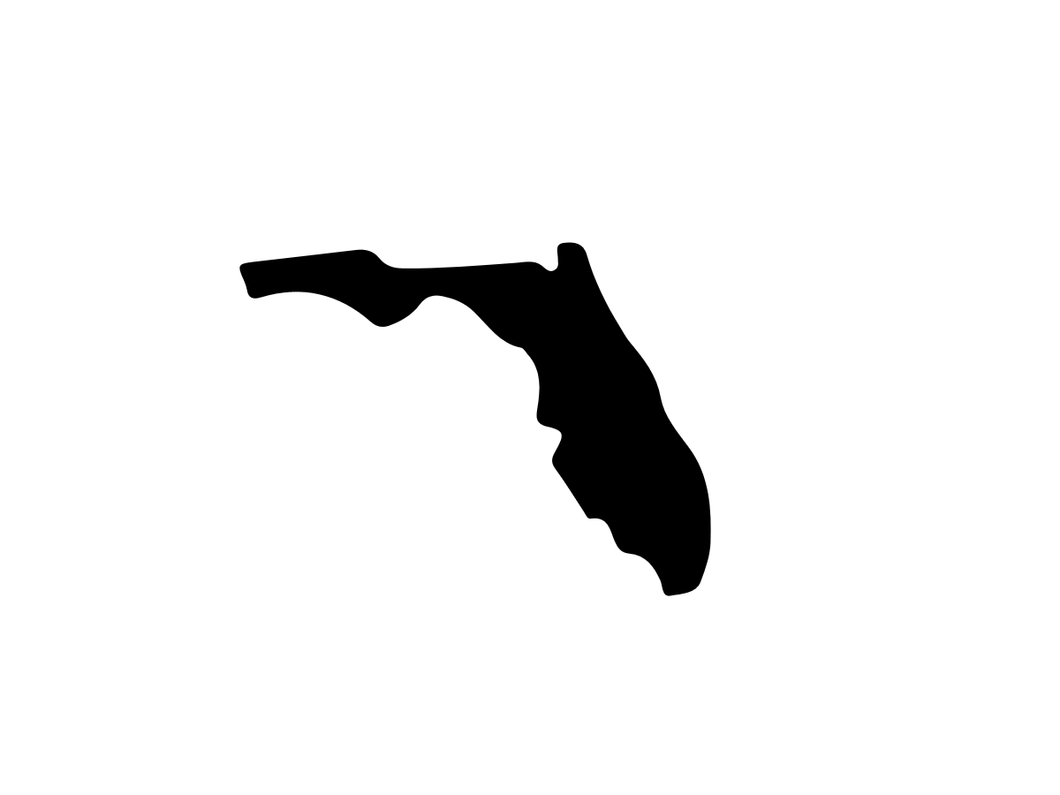 Florida - Book folding pattern