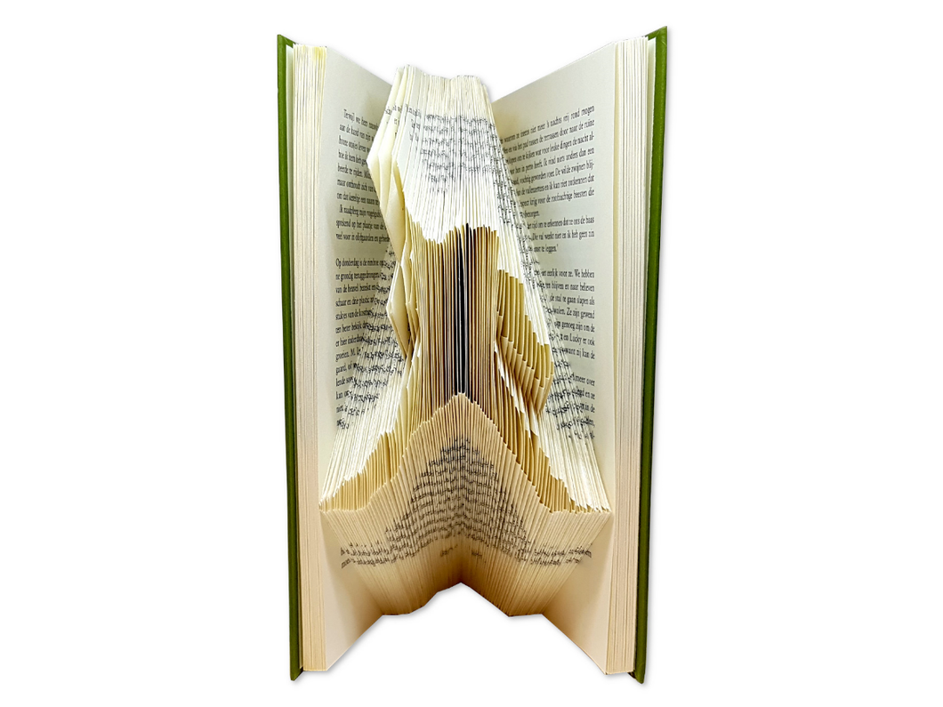 Freddy Mercury - Book folding pattern