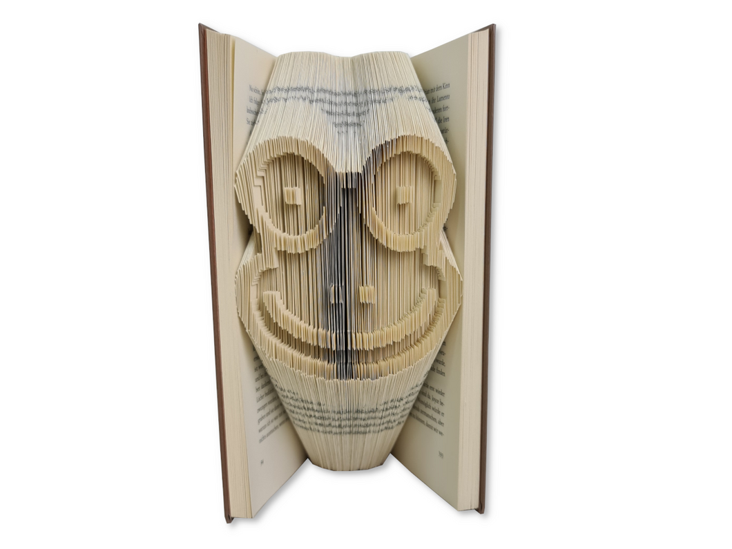 Frog head - Book folding pattern