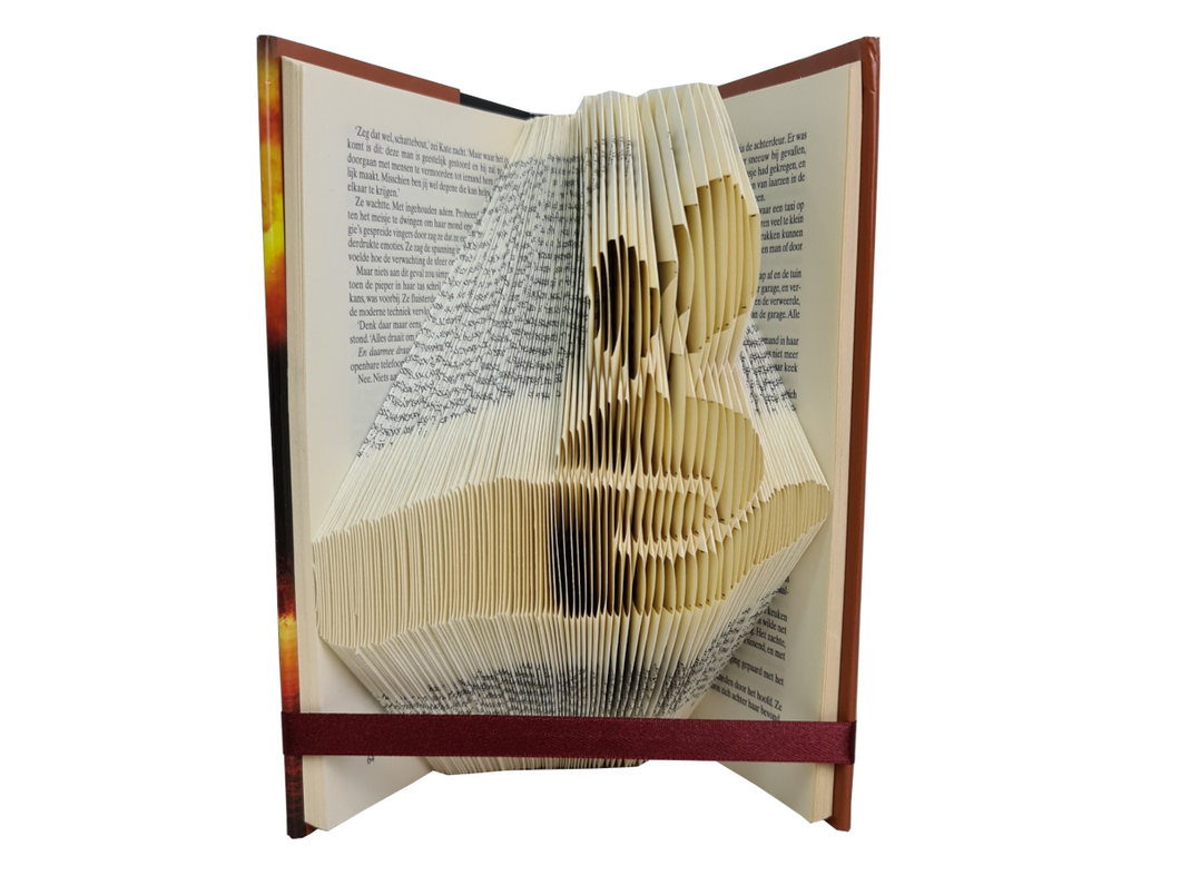 Natural Environment Sustainability - Book folding pattern